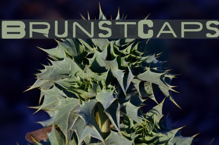 BrunstCaps Font examples