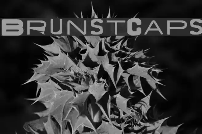 BrunstCaps Font examples