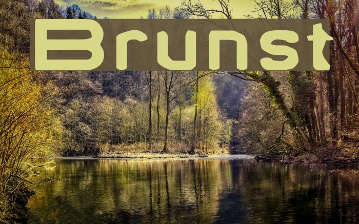 Brunst Font examples