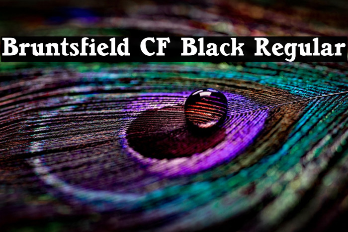 Bruntsfield CF Black Regular Example 2