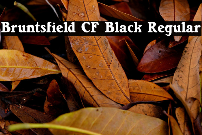 Bruntsfield CF Black Regular Example 3
