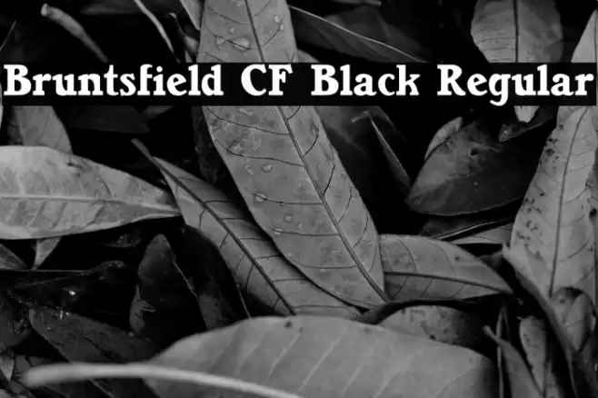 Bruntsfield CF Black Regular Font examples
