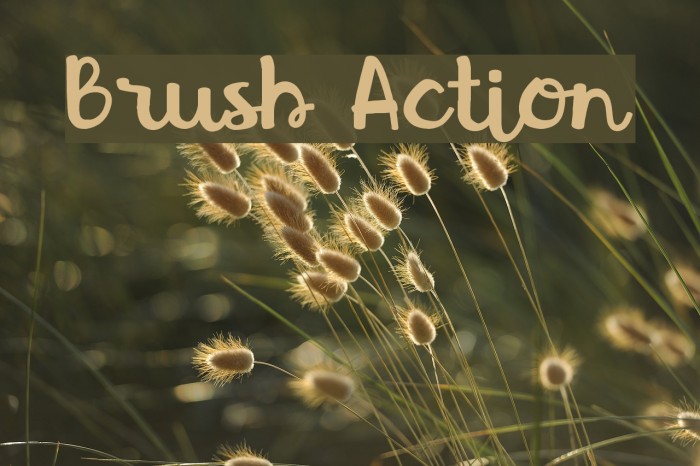 Brush Action Font examples