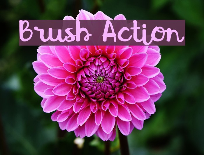 Brush Action Font examples