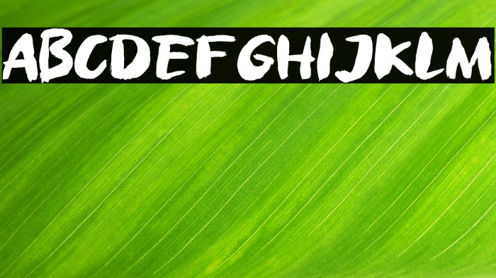 Brush Brezz Example 1