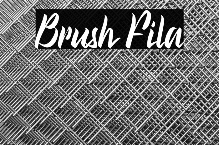 Brush Fila Example 1