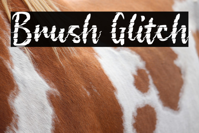 Brush Glitch Example 1