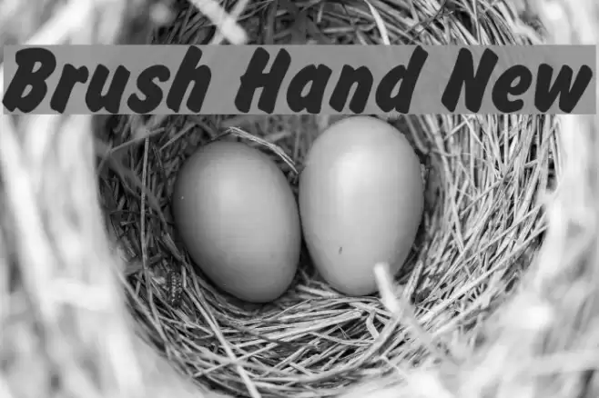 Brush Hand New Font examples