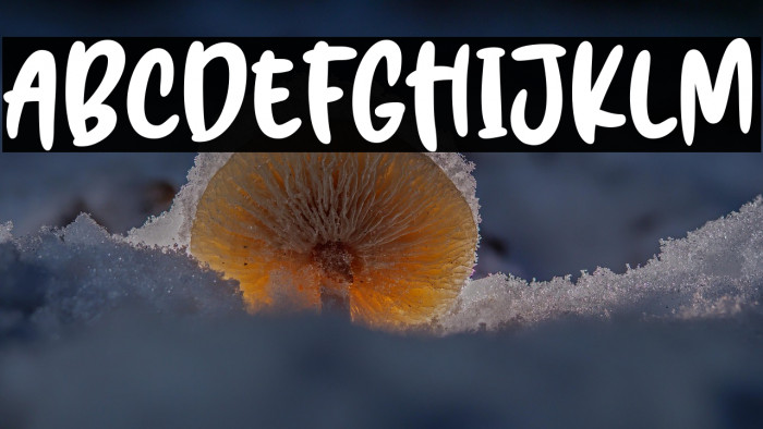 Brush Hours Example 2