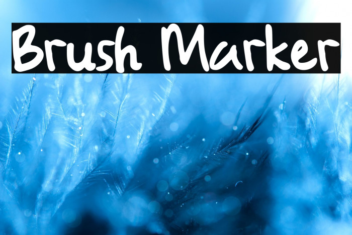 Brush Marker Example 3