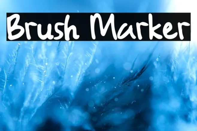 Brush Marker Example 3