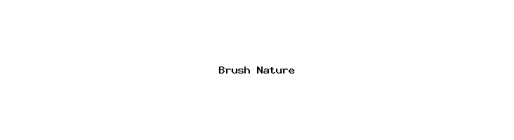 Brush Nature  font caratteri gratis