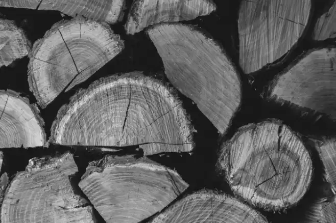 Brush Nature फ़ॉन्ट examples