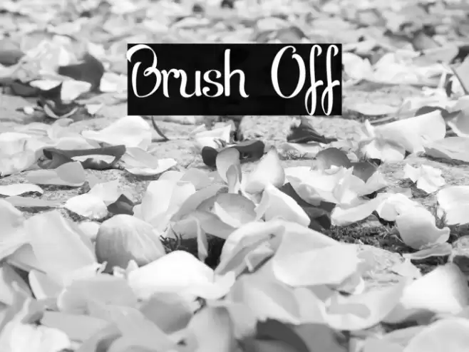 Brush Off Font examples