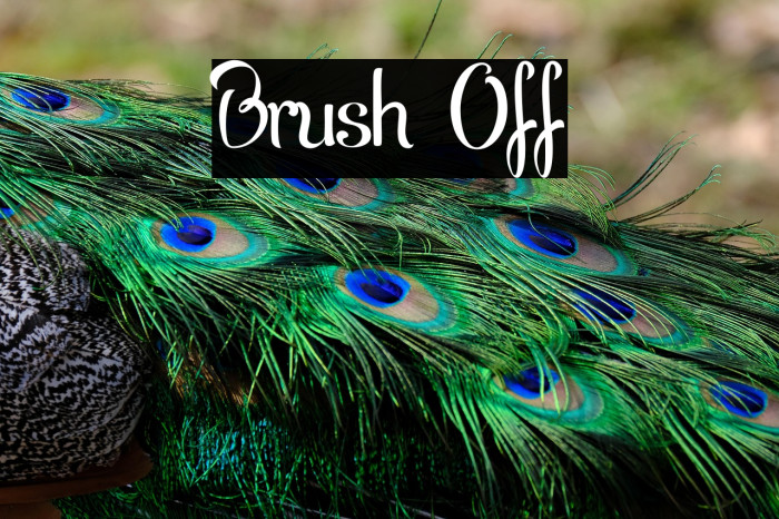 Brush Off Example 3
