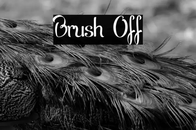 Brush Off Font examples