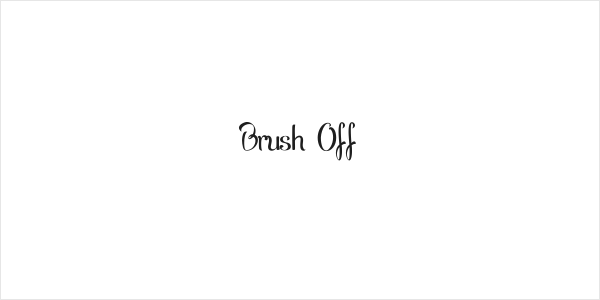 Brush Off Logo