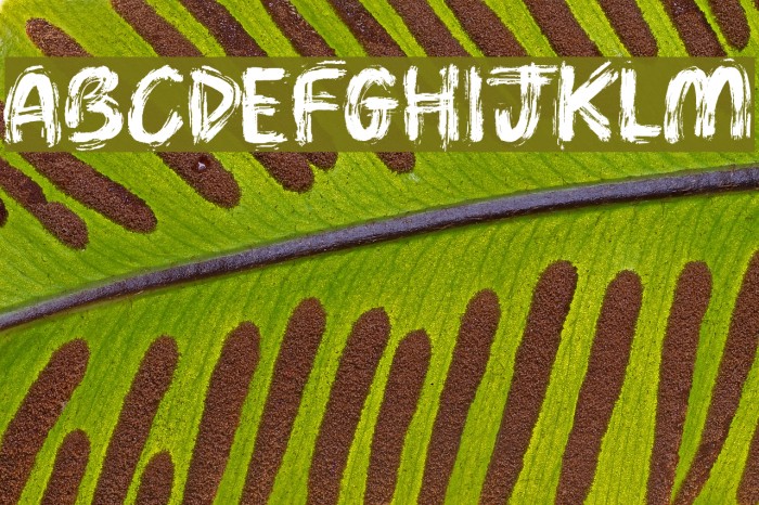 Brush Pains Font examples