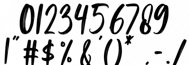 Brush Signature Font OTHER CHARS