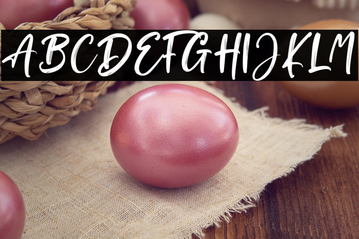 Brush Signature Example 1