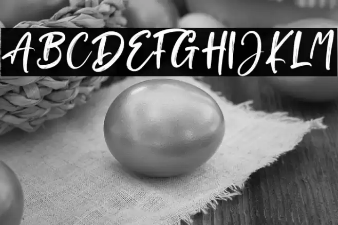 Brush Signature Font examples