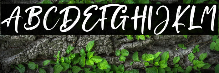 Brush Signature Example 2