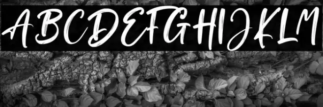 Brush Signature Font examples