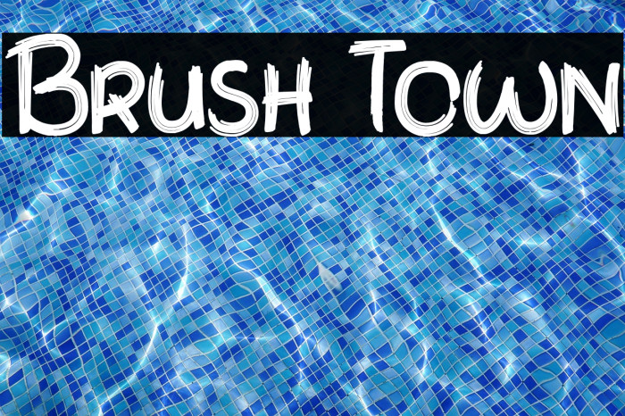 Brush Town Example 1