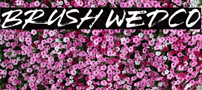 Brush Wedco Example 1