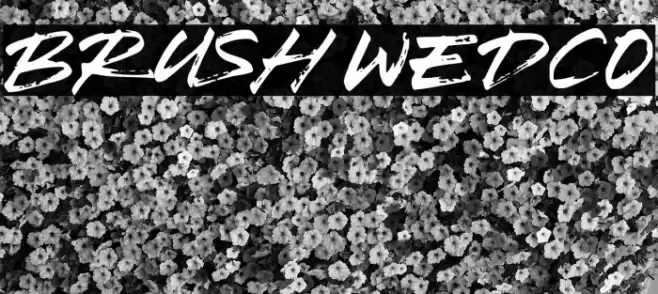 Brush Wedco Font examples