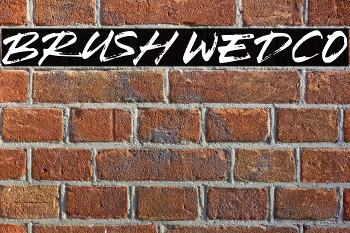 Brush Wedco Example 3