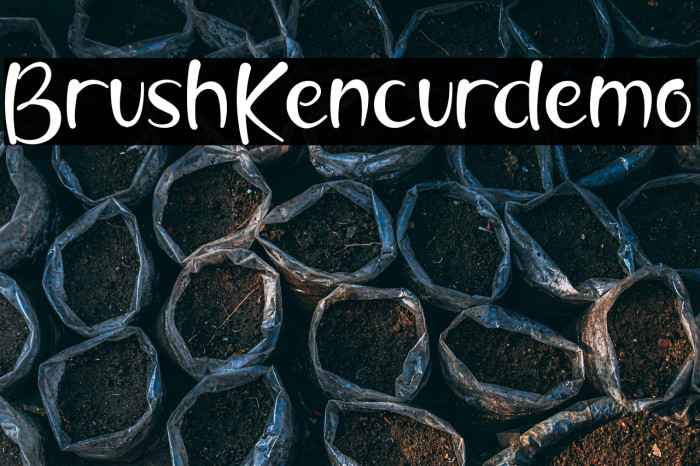 BrushKencurdemo Example 1