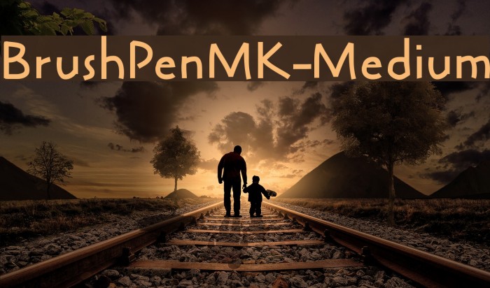 BrushPenMK-Medium Font examples