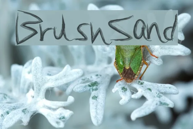 BrushSand Example 2