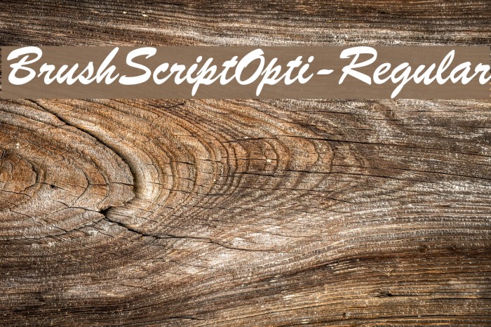 BrushScriptOpti-Regular Font examples