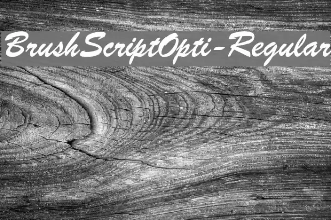 BrushScriptOpti-Regular Font examples