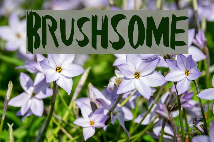 BrushSome Example 2