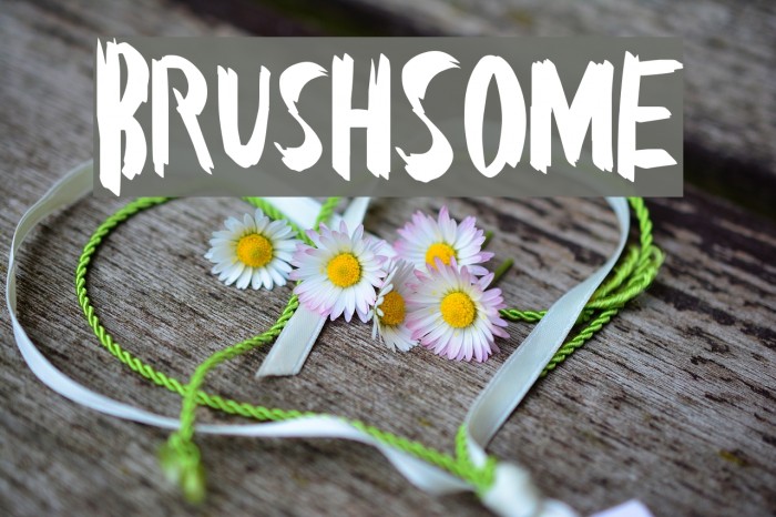 BrushSome Example 3