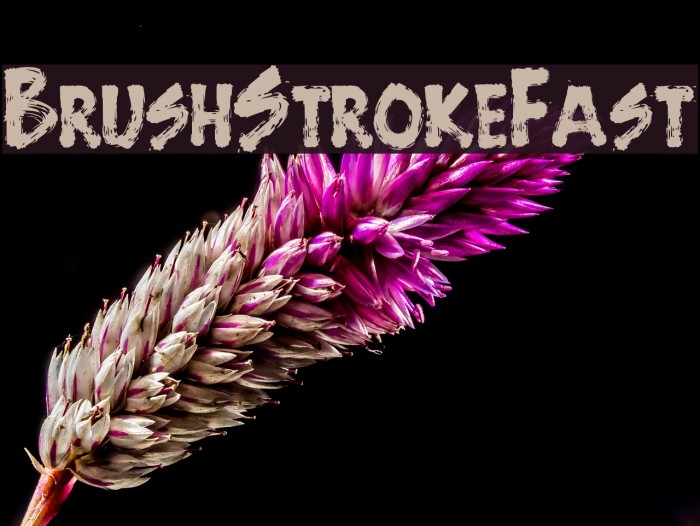 BrushStrokeFast Font examples