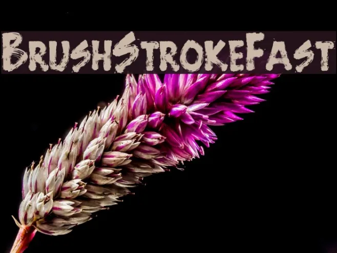 BrushStrokeFast Example 2