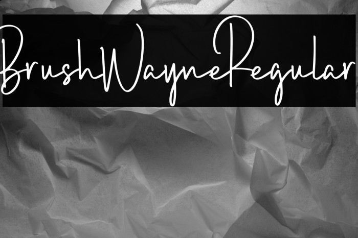 BrushWayne-Regular Example 1