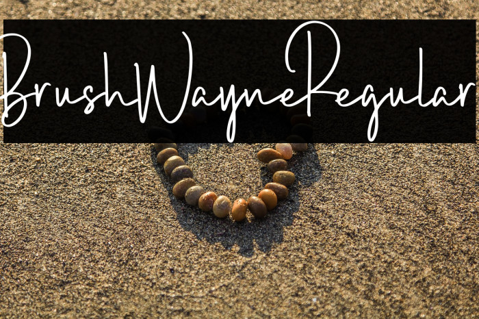 BrushWayne-Regular Example 2