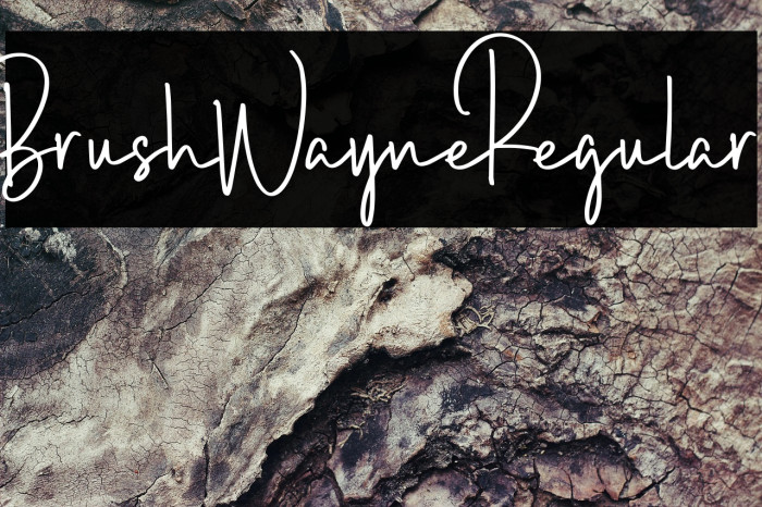 BrushWayne-Regular Example 3