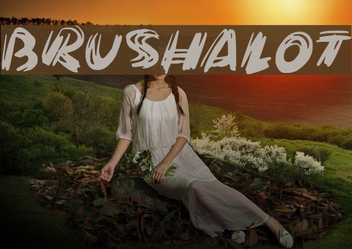 Brushalot Font examples