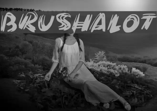 Brushalot Font examples