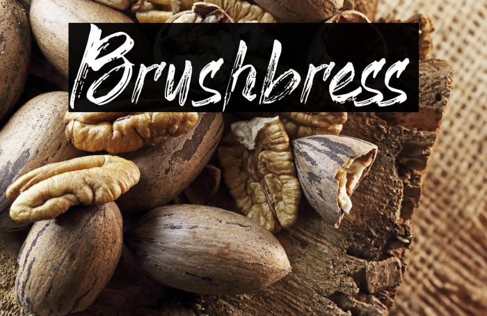 Brushbress Example 1