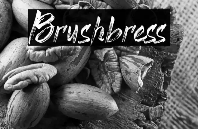 Brushbress Font examples