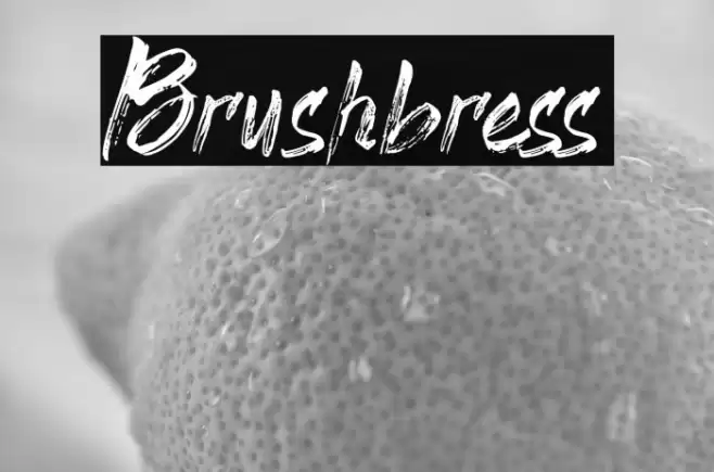 Brushbress Font examples