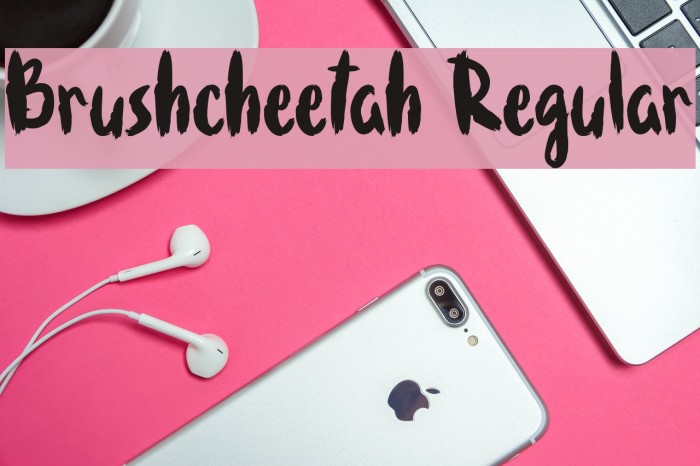 Brushcheetah Regular Example 1