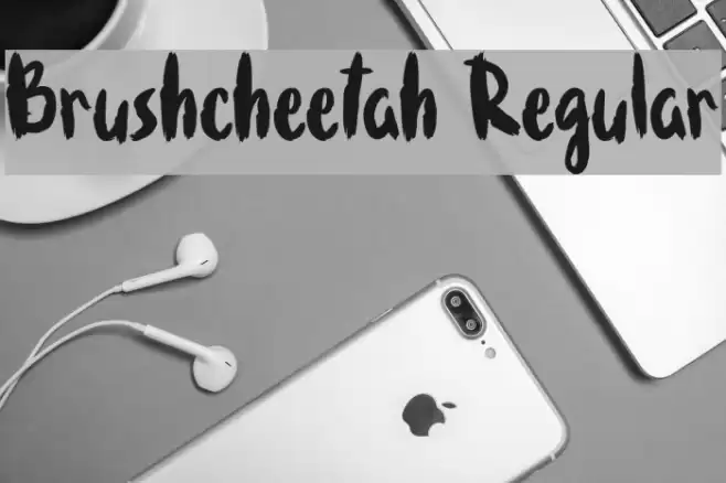 Brushcheetah Regular Font examples